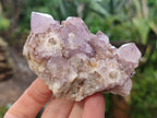 Natural Amethyst Spirit Quartz Clusters x 6 From Boekenhouthoek, South Africa - Toprock Gemstones and Minerals 