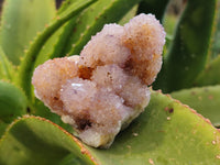 Natural Amethyst Spirit Quartz Clusters x 6 From Boekenhouthoek, South Africa