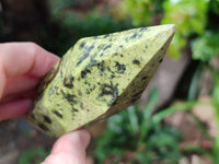 Polished Leopard Stone Double Terminated Points x 4 From Nyanga, Zimbabwe