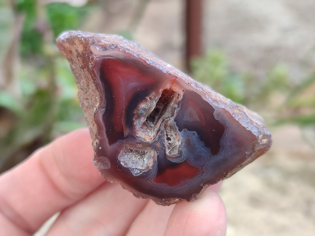 Polished On One Side Red Sashe River Agate Nodules x 24 From Zimbabwe - Toprock Gemstones and Minerals 