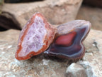 Polished On One Side Red Sashe River Agate Nodules x 24 From Zimbabwe - Toprock Gemstones and Minerals 