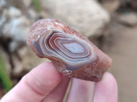Polished On One Side Red Sashe River Agate Nodules x 24 From Zimbabwe - Toprock Gemstones and Minerals 