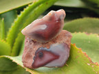 Polished On One Side Red Sashe River Agate Nodules x 24 From Zimbabwe - Toprock Gemstones and Minerals 
