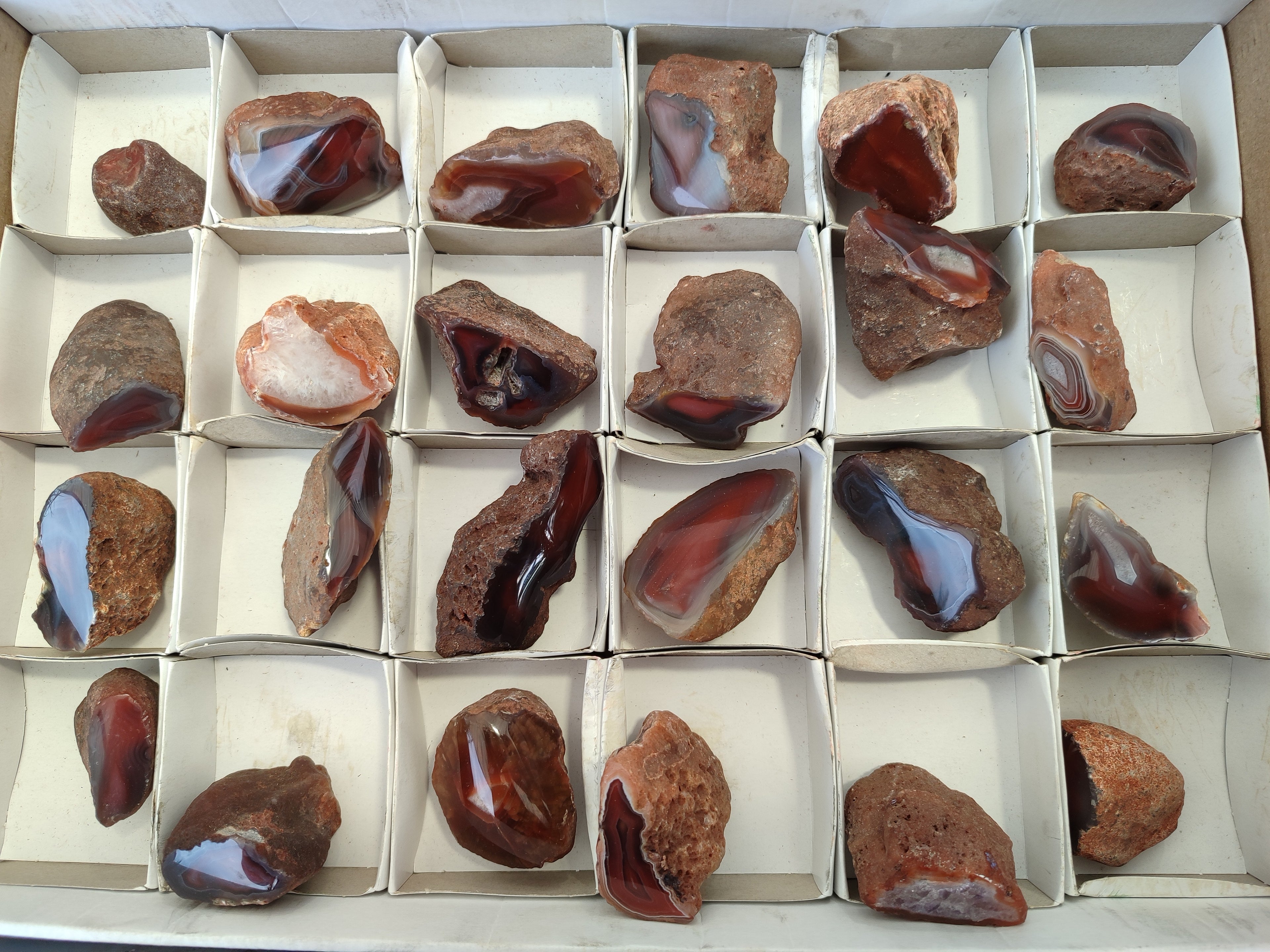 Polished On One Side Red Sashe River Agate Nodules x 24 From Zimbabwe - Toprock Gemstones and Minerals 