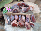 Polished On One Side Red Sashe River Agate Nodules x 24 From Zimbabwe - Toprock Gemstones and Minerals 