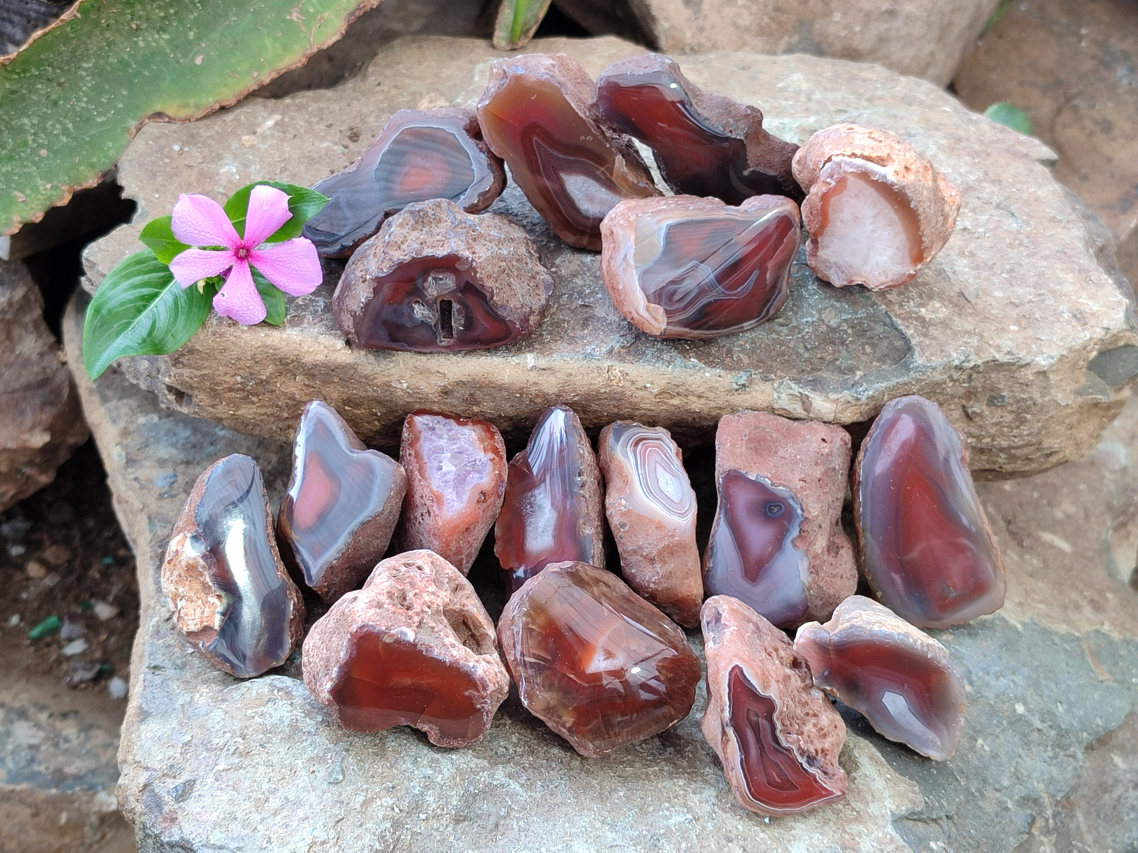 Polished On One Side Red Sashe River Agate Nodules x 24 From Zimbabwe - Toprock Gemstones and Minerals 