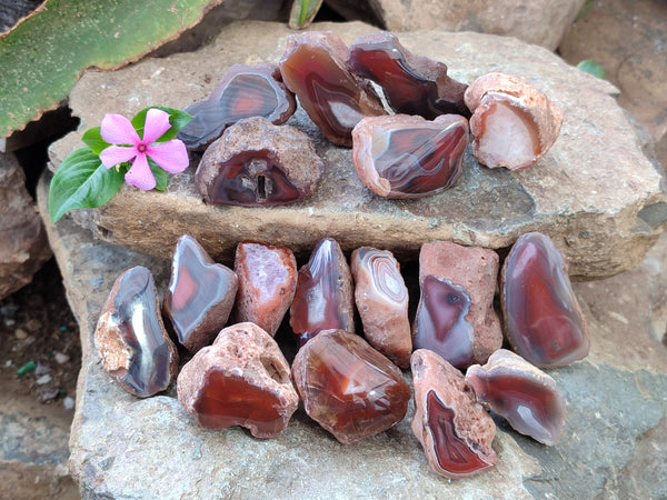 Polished On One Side Red Sashe River Agate Nodules x 24 From Zimbabwe