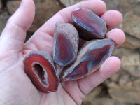 Polished On One Side Red Sashe River Agate Nodules x 24 From Zimbabwe - Toprock Gemstones and Minerals 