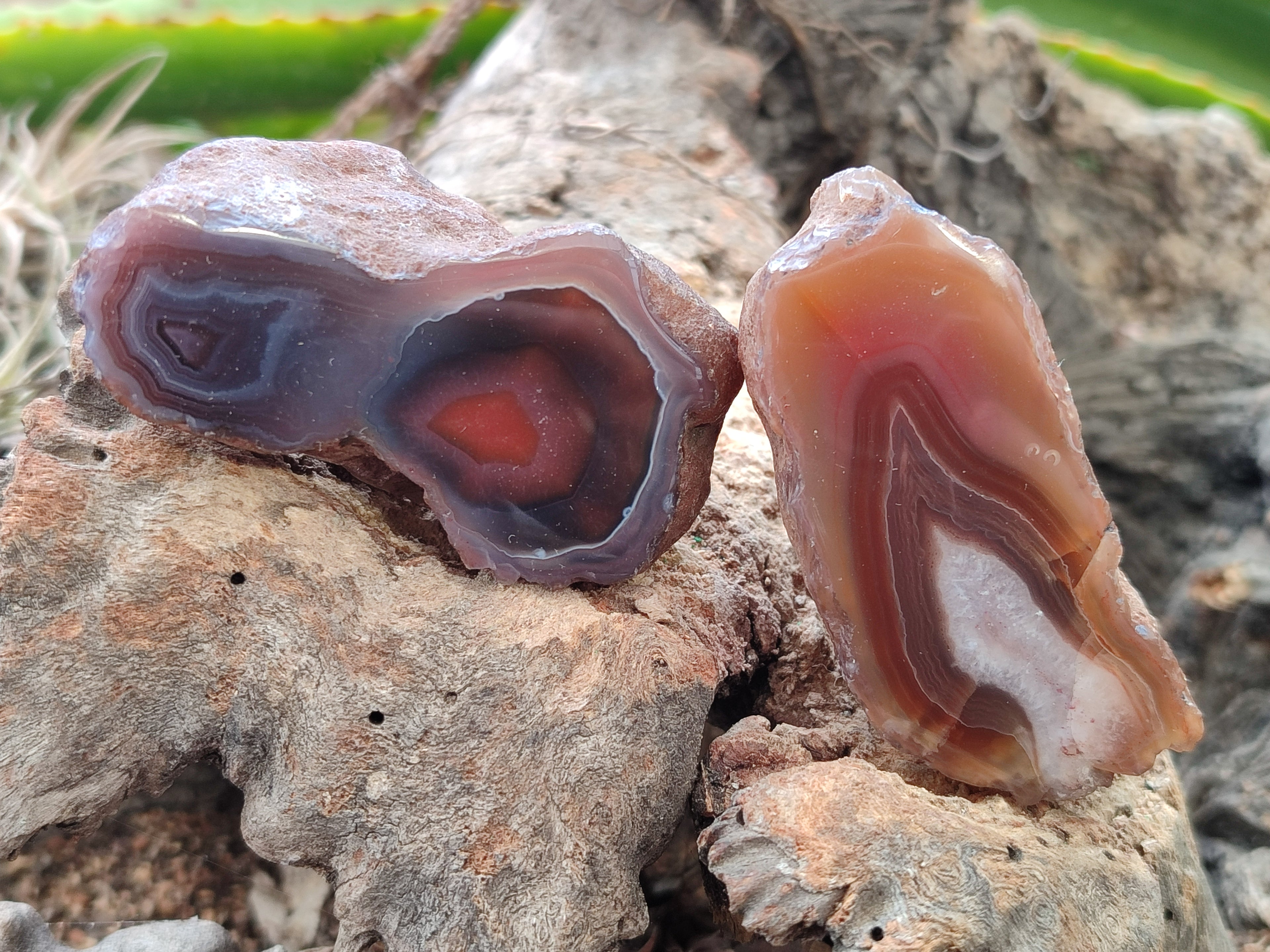 Polished On One Side Red Sashe River Agate Nodules x 24 From Zimbabwe - Toprock Gemstones and Minerals 