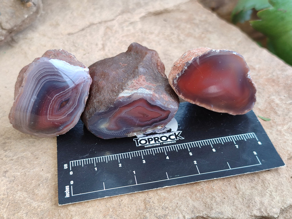 Polished On One Side Red Sashe River Agate Nodules x 24 From Zimbabwe - Toprock Gemstones and Minerals 