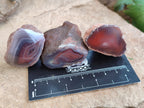 Polished On One Side Red Sashe River Agate Nodules x 24 From Zimbabwe - Toprock Gemstones and Minerals 