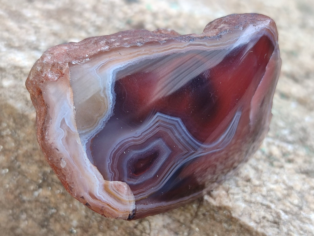 Polished On One Side Red Sashe River Agate Nodules x 24 From Zimbabwe - Toprock Gemstones and Minerals 