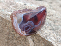 Polished On One Side Red Sashe River Agate Nodules x 24 From Zimbabwe - Toprock Gemstones and Minerals 