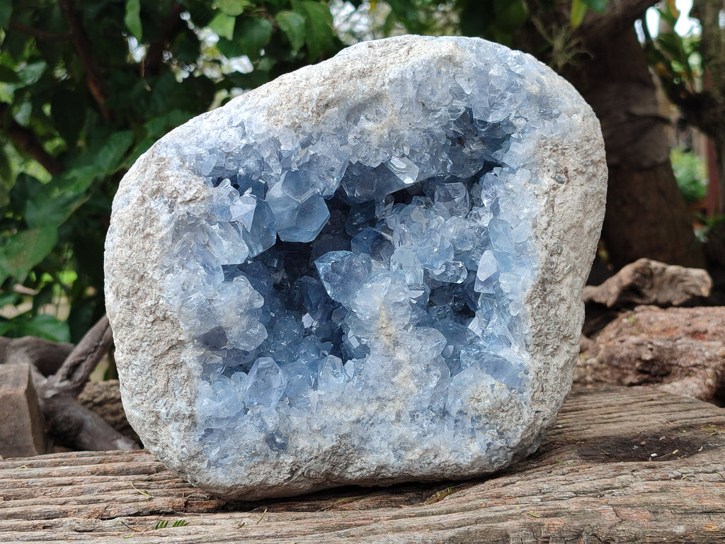 Natural Large Celestite Geode Specimen x 1 From Sakoany, Madagascar - Toprock Gemstones and Minerals 