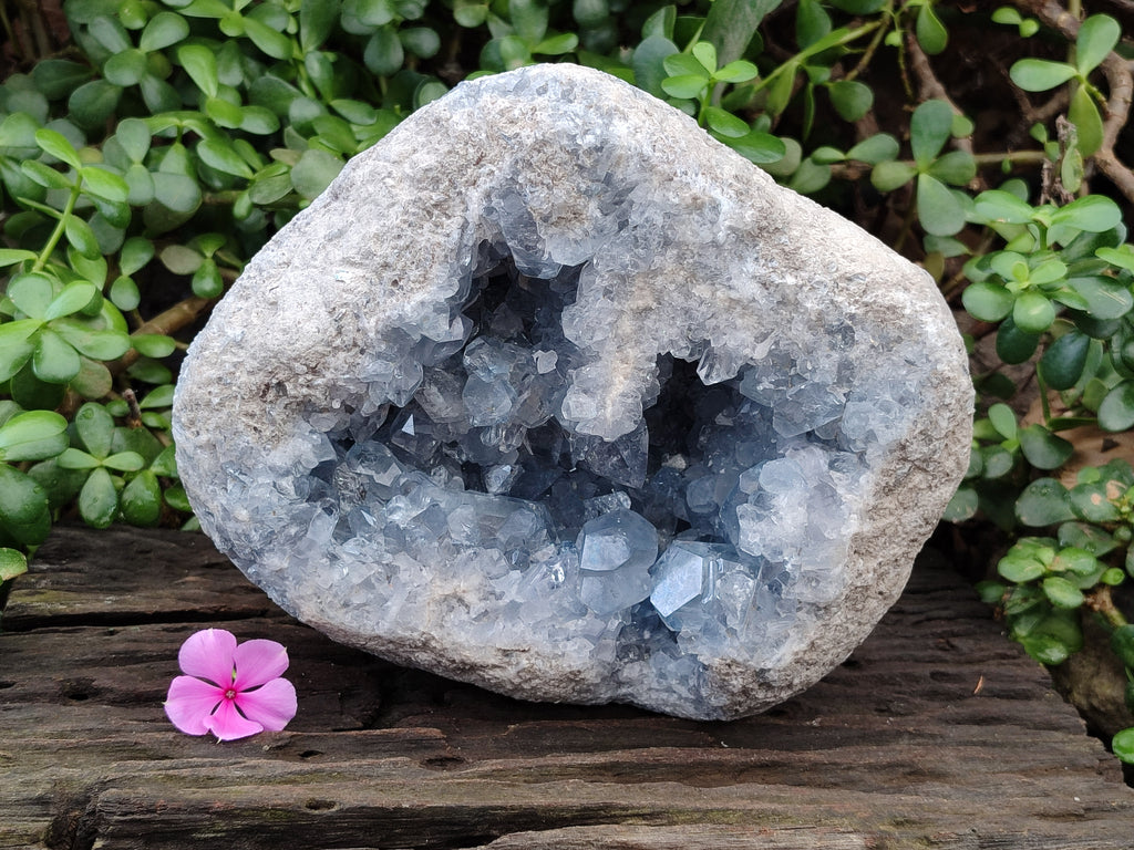 Natural Large Celestite Geode Specimen x 1 From Sakoany, Madagascar - Toprock Gemstones and Minerals 