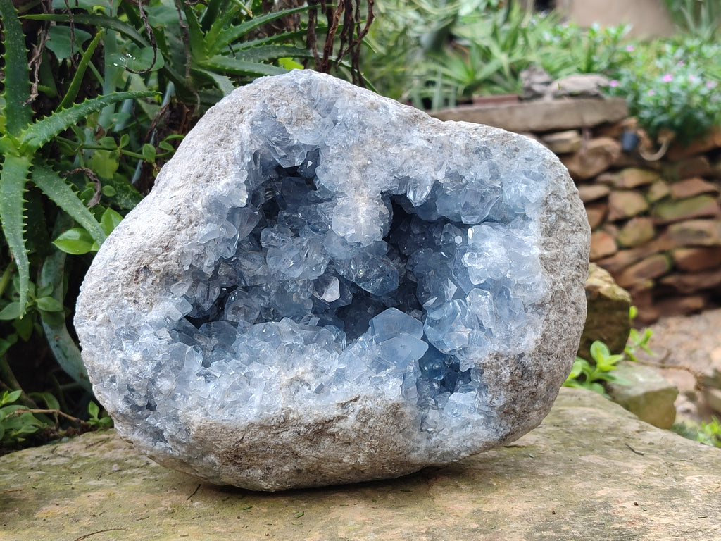 Natural Large Celestite Geode Specimen x 1 From Sakoany, Madagascar - Toprock Gemstones and Minerals 