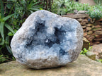 Natural Large Celestite Geode Specimen x 1 From Sakoany, Madagascar - Toprock Gemstones and Minerals 