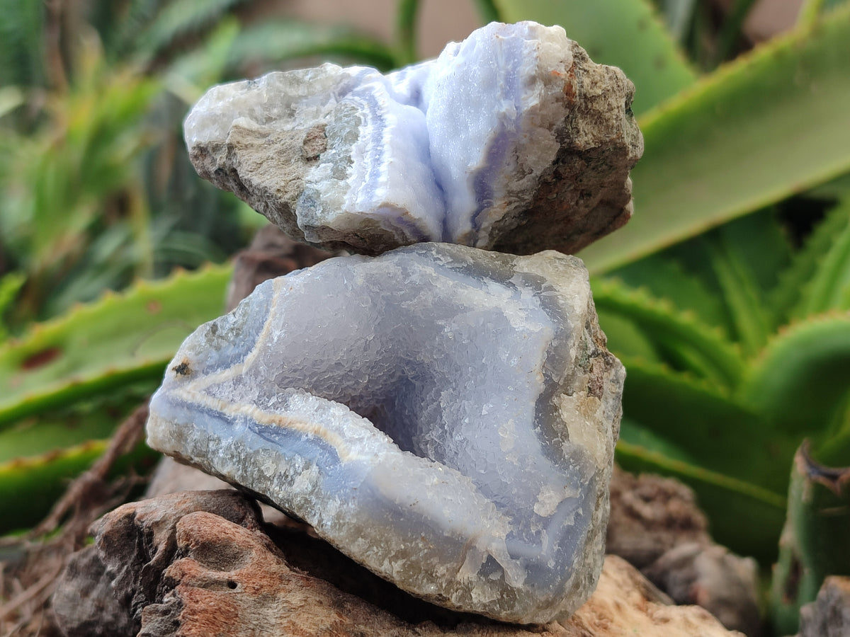 Natural Blue Lace Agate Geode Specimens x 6 From Nsanje, Malawi - Toprock Gemstones and Minerals 
