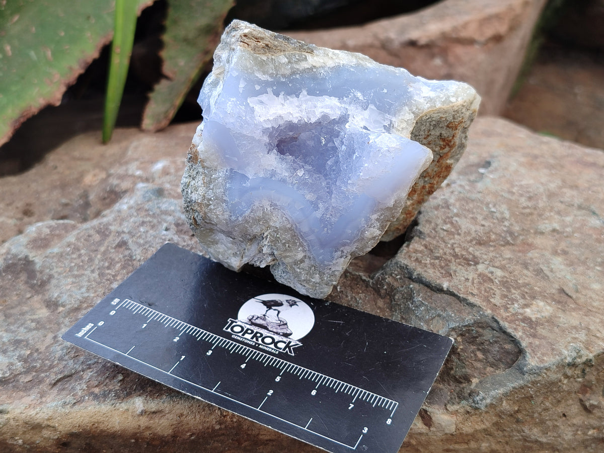 Natural Blue Lace Agate Geode Specimens x 6 From Nsanje, Malawi - Toprock Gemstones and Minerals 