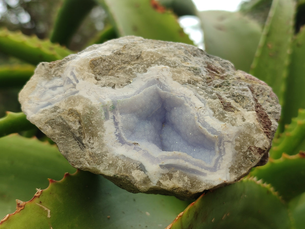 Natural Blue Lace Agate Geode Specimens x 6 From Nsanje, Malawi - Toprock Gemstones and Minerals 