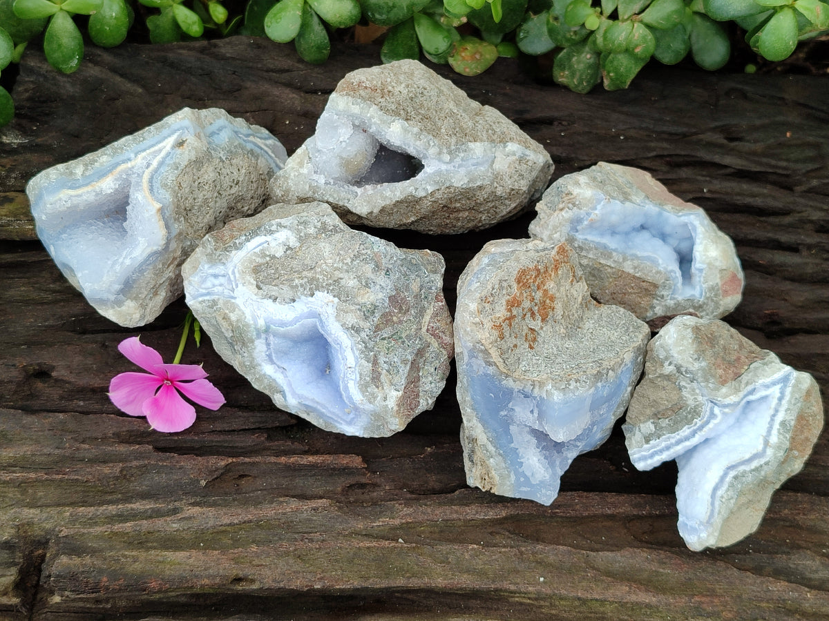 Natural Blue Lace Agate Geode Specimens x 6 From Nsanje, Malawi - Toprock Gemstones and Minerals 