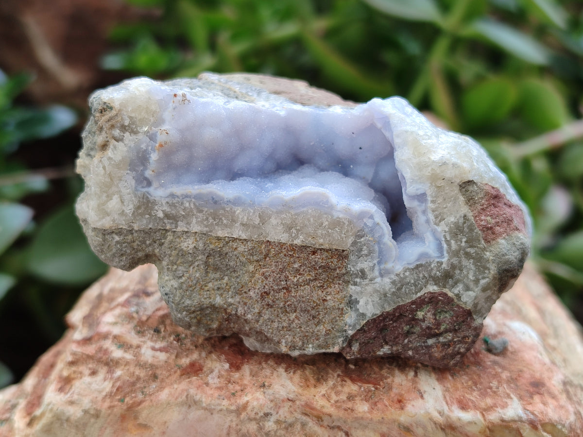 Natural Blue Lace Agate Geode Specimens x 6 From Nsanje, Malawi - Toprock Gemstones and Minerals 