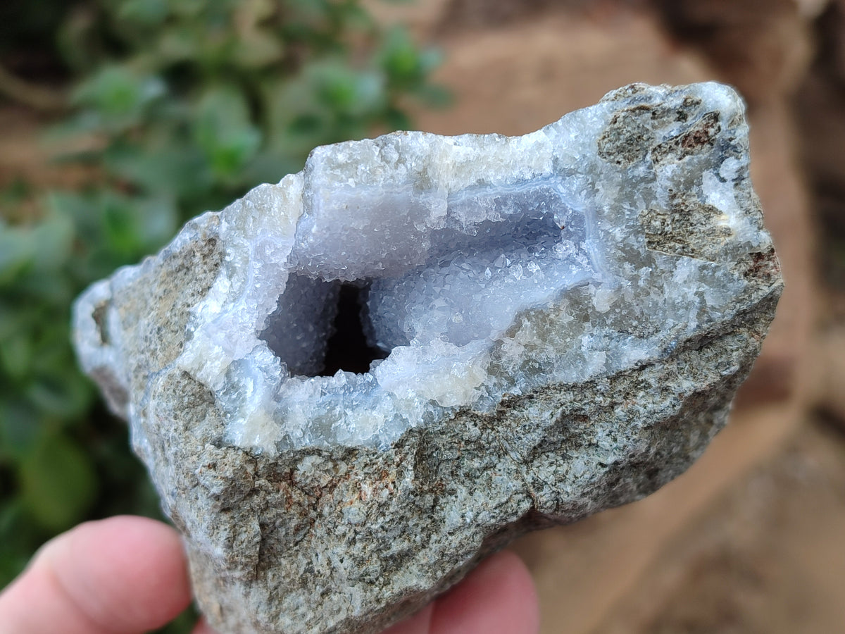 Natural Blue Lace Agate Geode Specimens x 6 From Nsanje, Malawi - Toprock Gemstones and Minerals 