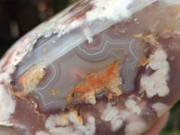 Polished Fossil Flower Agate Standing Free Forms x 3 From Antsahalova, Madagascar