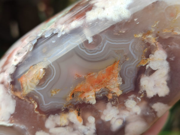 Polished Fossil Flower Agate Standing Free Forms x 3 From Antsahalova, Madagascar