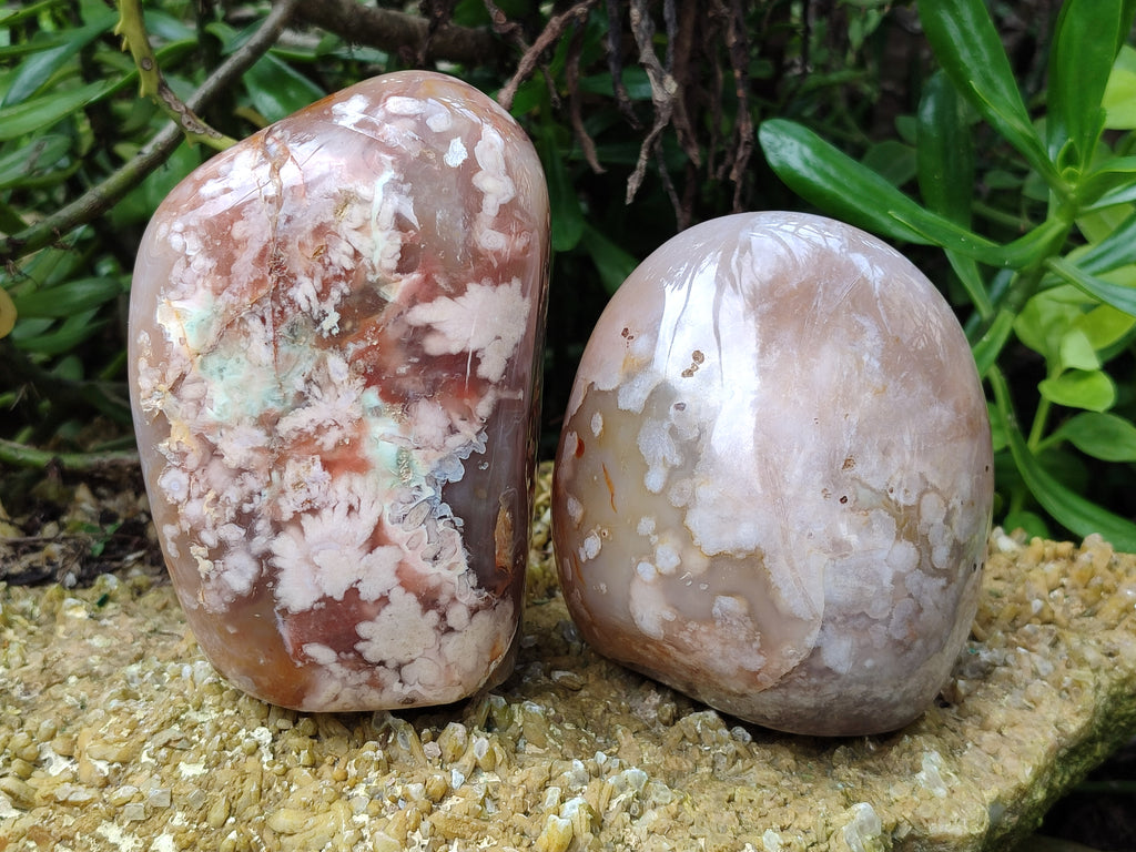 Polished Fossil Flower Agate Standing Free Forms x 3 From Antsahalova, Madagascar - Toprock Gemstones and Minerals 