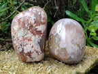 Polished Fossil Flower Agate Standing Free Forms x 3 From Antsahalova, Madagascar - Toprock Gemstones and Minerals 