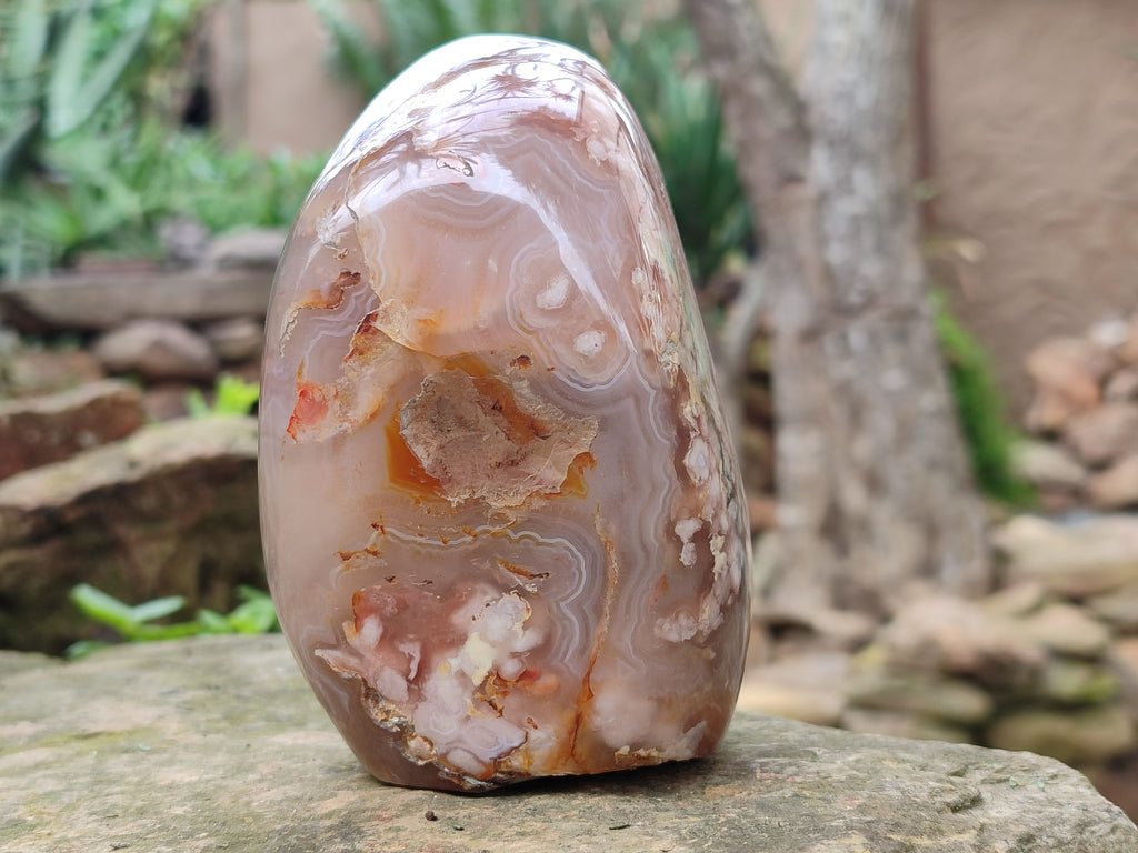 Polished Fossil Flower Agate Standing Free Forms x 3 From Antsahalova, Madagascar - Toprock Gemstones and Minerals 