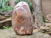 Polished Fossil Flower Agate Standing Free Forms x 3 From Antsahalova, Madagascar