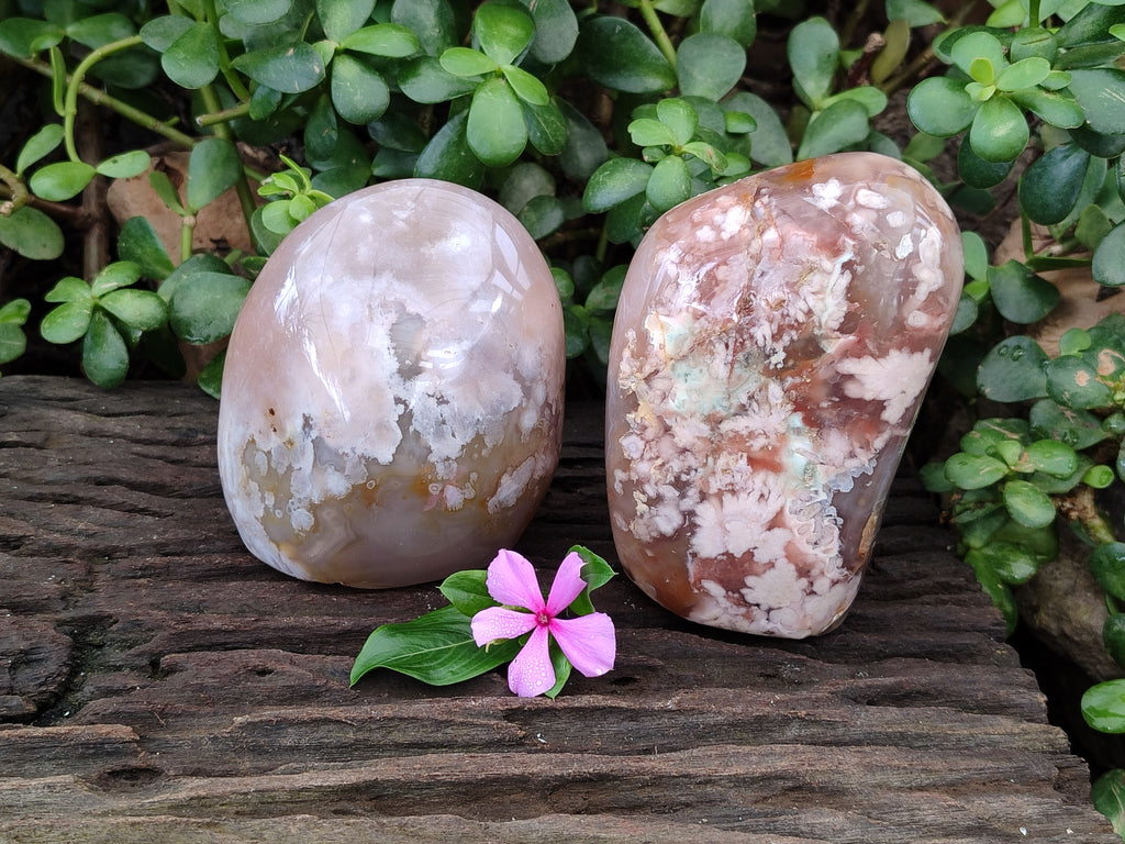Polished Fossil Flower Agate Standing Free Forms x 3 From Antsahalova, Madagascar - Toprock Gemstones and Minerals 