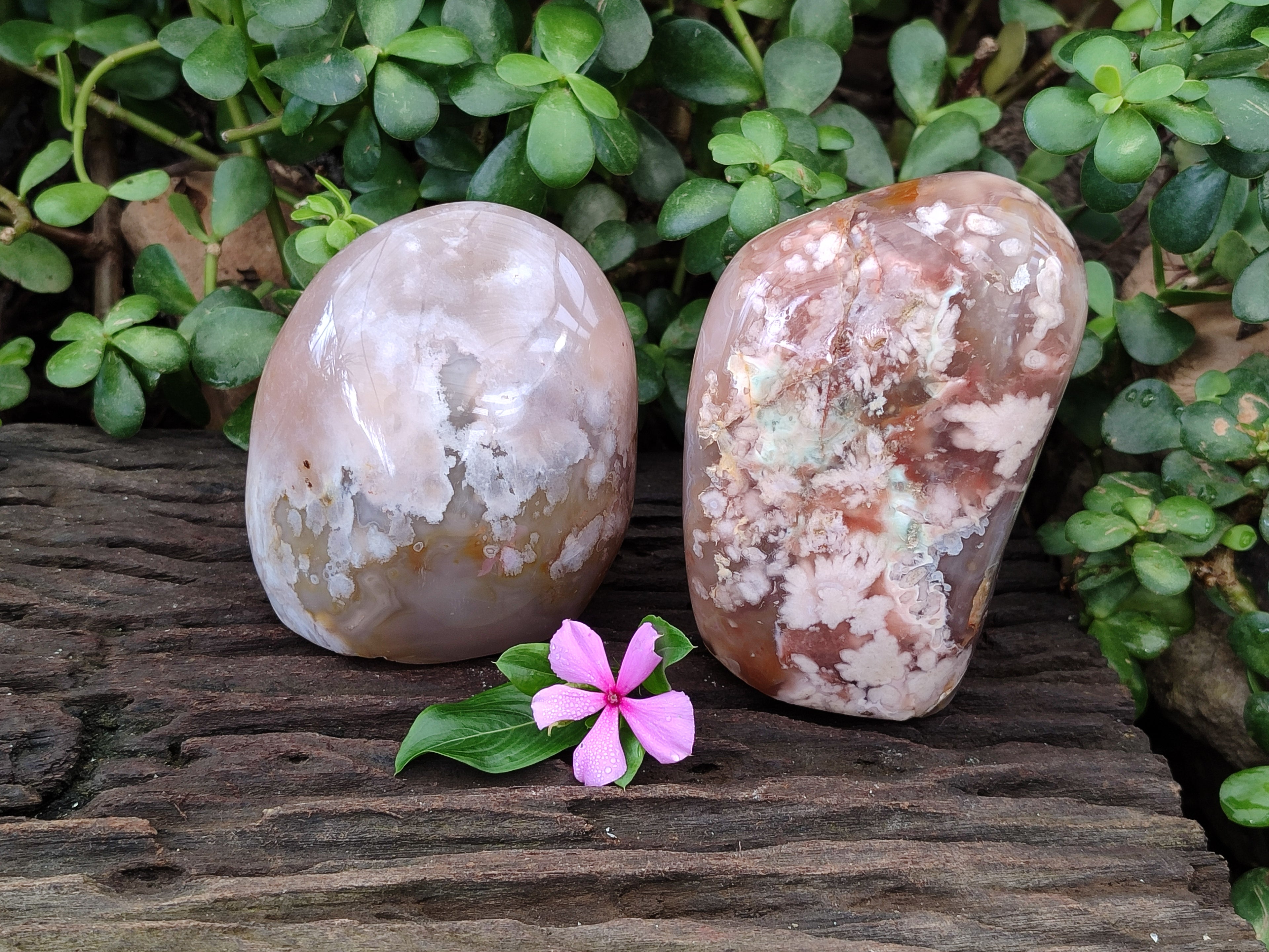 Polished Fossil Flower Agate Standing Free Forms x 3 From Antsahalova, Madagascar - Toprock Gemstones and Minerals 