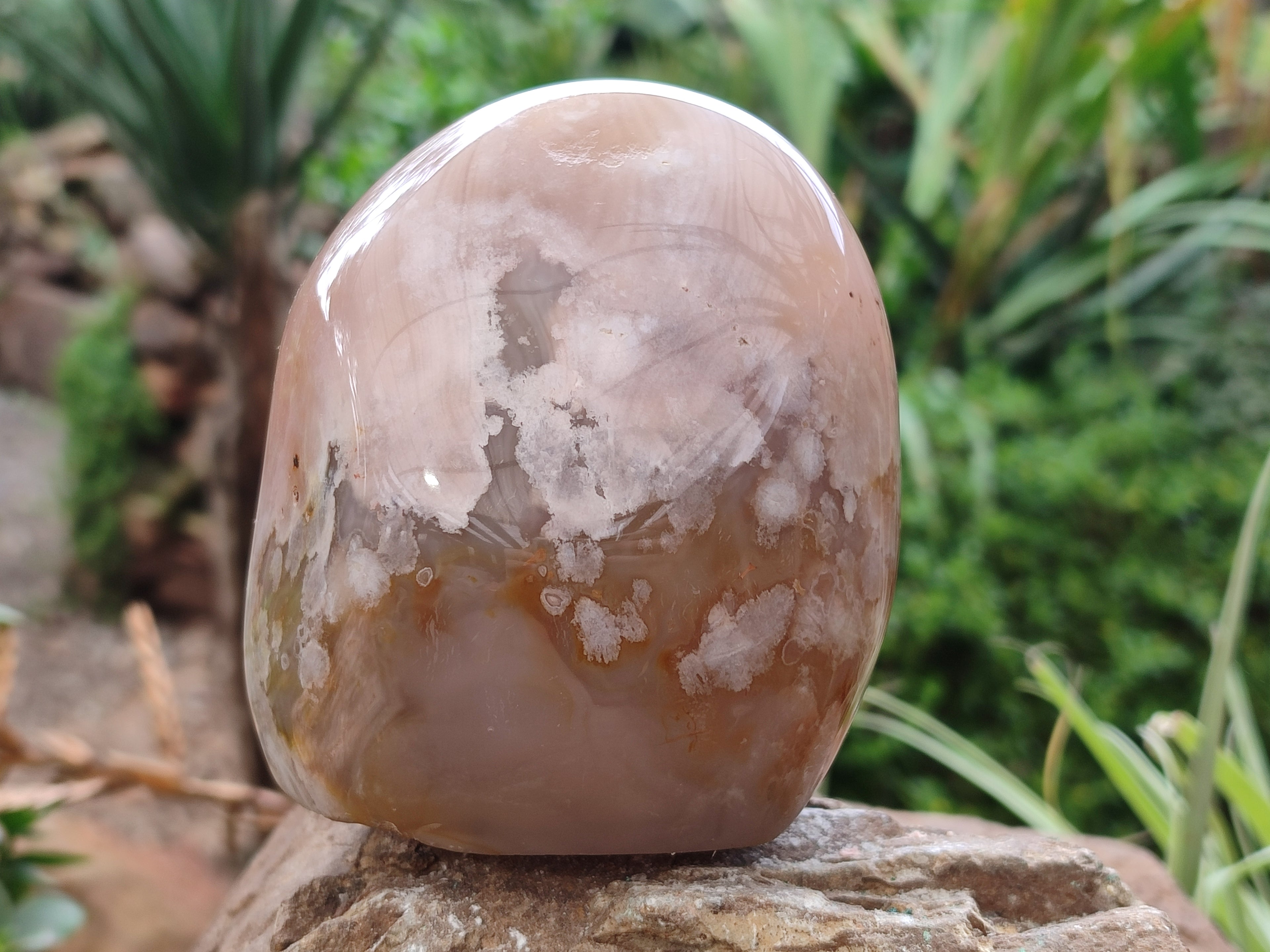 Polished Fossil Flower Agate Standing Free Forms x 3 From Antsahalova, Madagascar - Toprock Gemstones and Minerals 