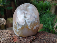 Polished Fossil Flower Agate Standing Free Forms x 3 From Antsahalova, Madagascar