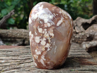 Polished Fossil Flower Agate Standing Free Forms x 3 From Antsahalova, Madagascar