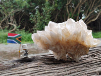 Natural Multi Terminated Quartz Crystal Clusters x 2 From Madagascar
