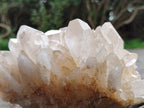 Natural Multi Terminated Quartz Crystal Clusters x 2 From Madagascar - Toprock Gemstones and Minerals 