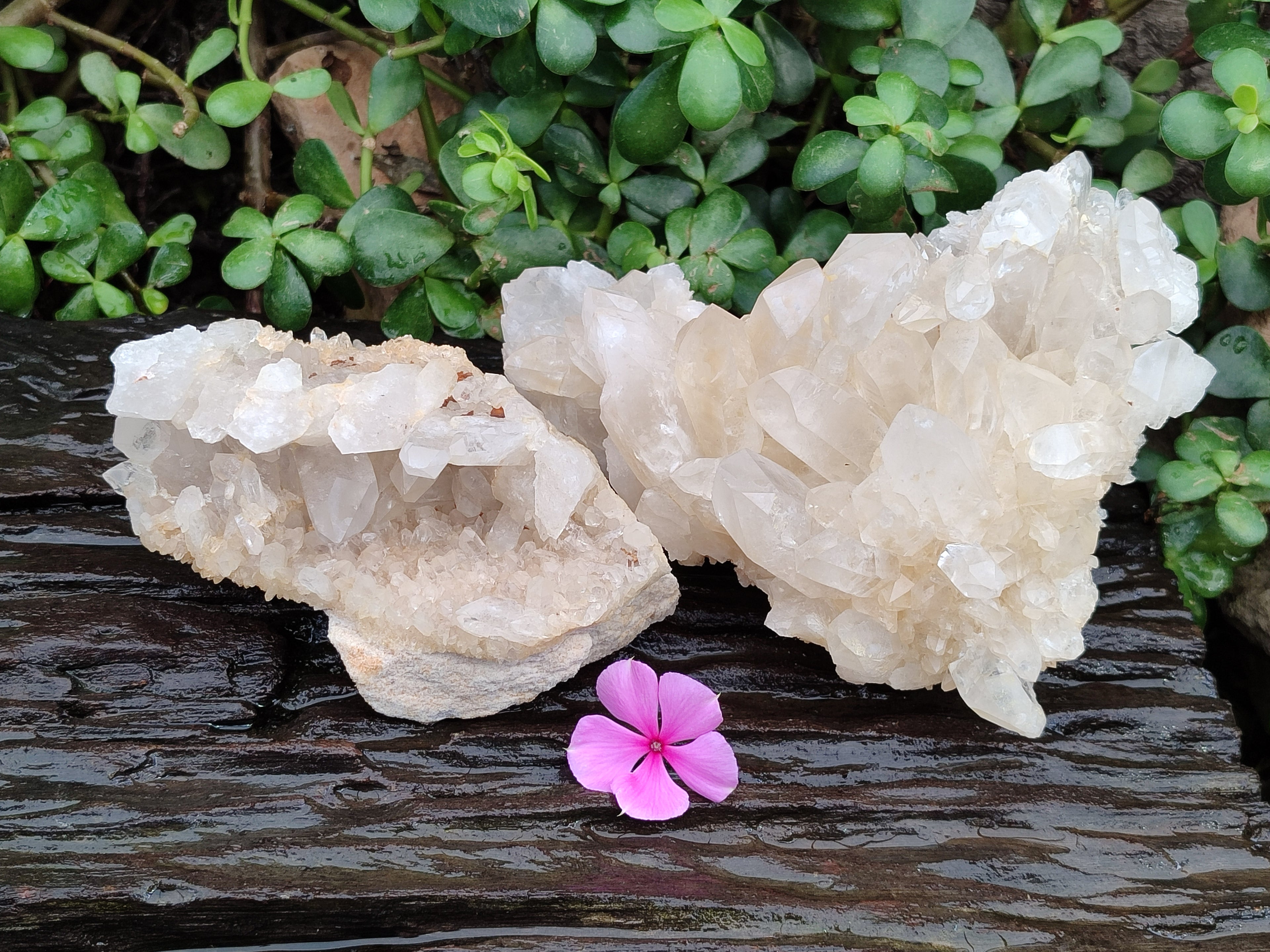 Natural Multi Terminated Quartz Crystal Clusters x 2 From Madagascar - Toprock Gemstones and Minerals 