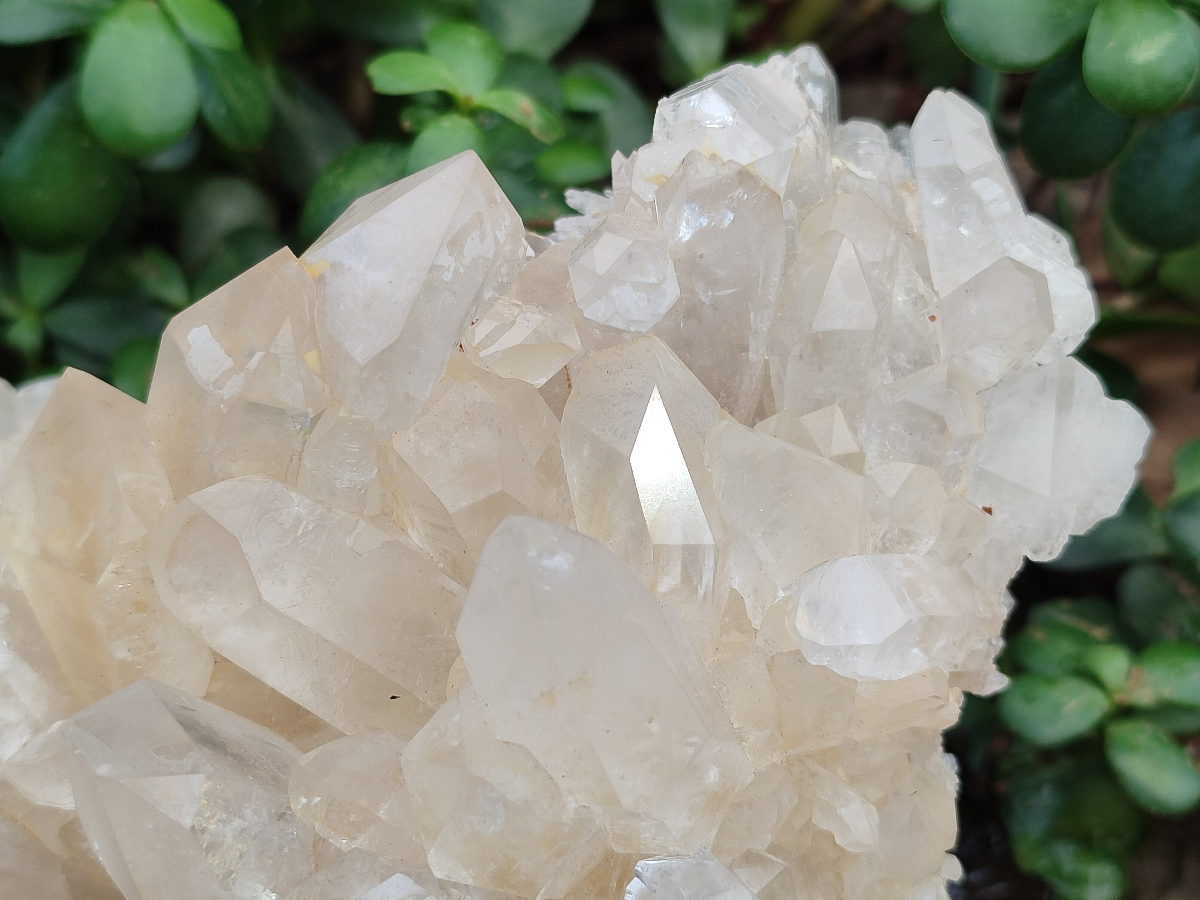 Natural Multi Terminated Quartz Crystal Clusters x 2 From Madagascar - Toprock Gemstones and Minerals 