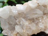 Natural Multi Terminated Quartz Crystal Clusters x 2 From Madagascar