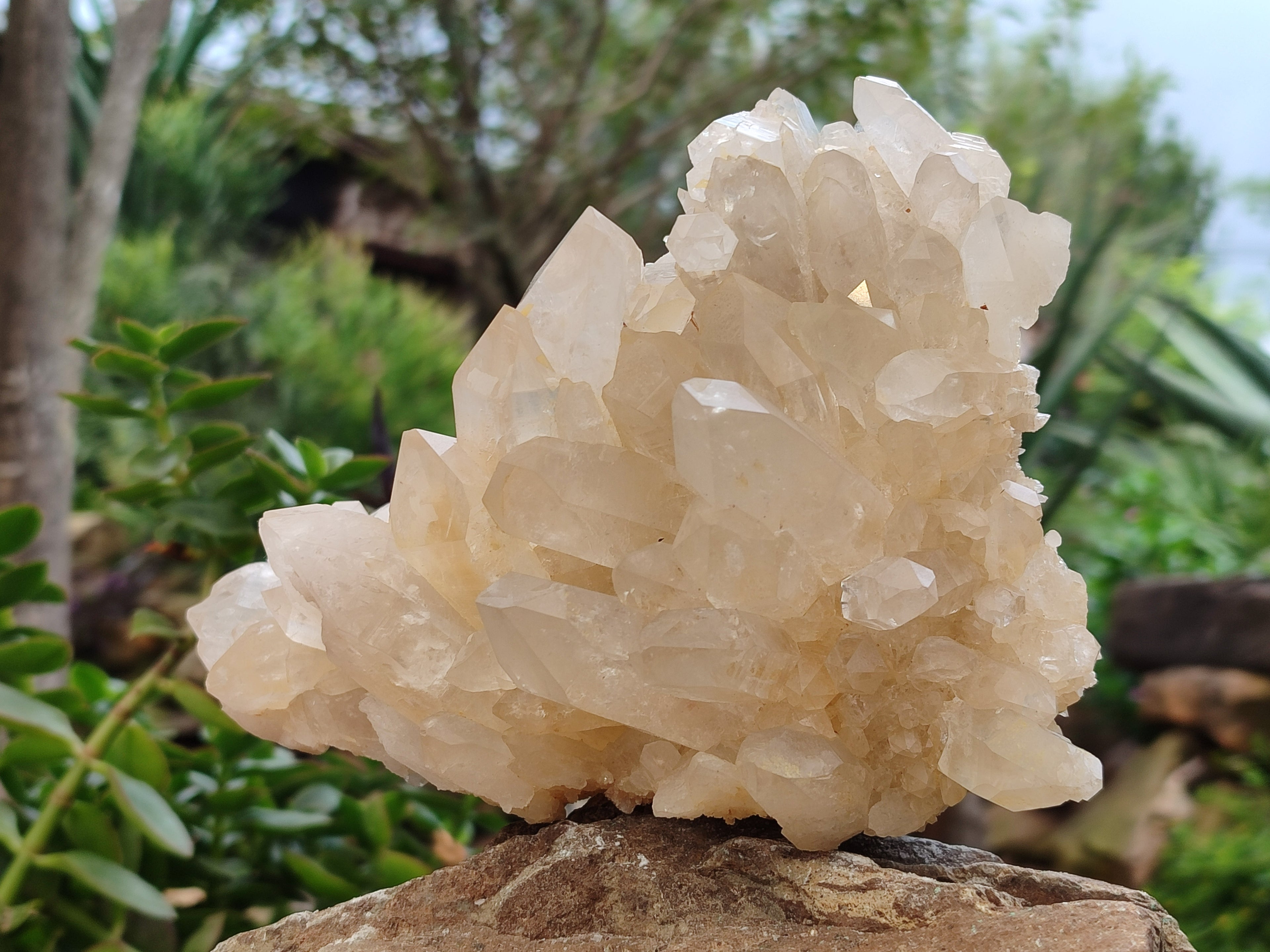 Natural Multi Terminated Quartz Crystal Clusters x 2 From Madagascar - Toprock Gemstones and Minerals 