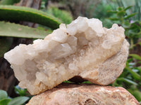 Natural Multi Terminated Quartz Crystal Clusters x 2 From Madagascar