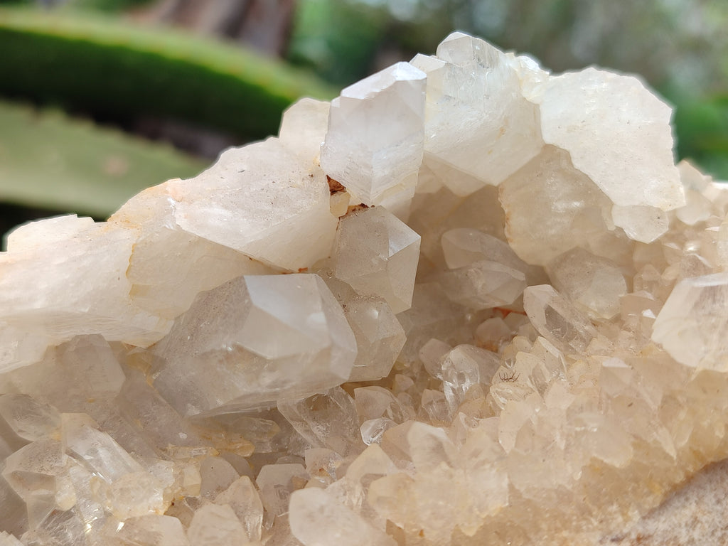 Natural Multi Terminated Quartz Crystal Clusters x 2 From Madagascar - Toprock Gemstones and Minerals 