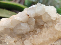 Natural Multi Terminated Quartz Crystal Clusters x 2 From Madagascar