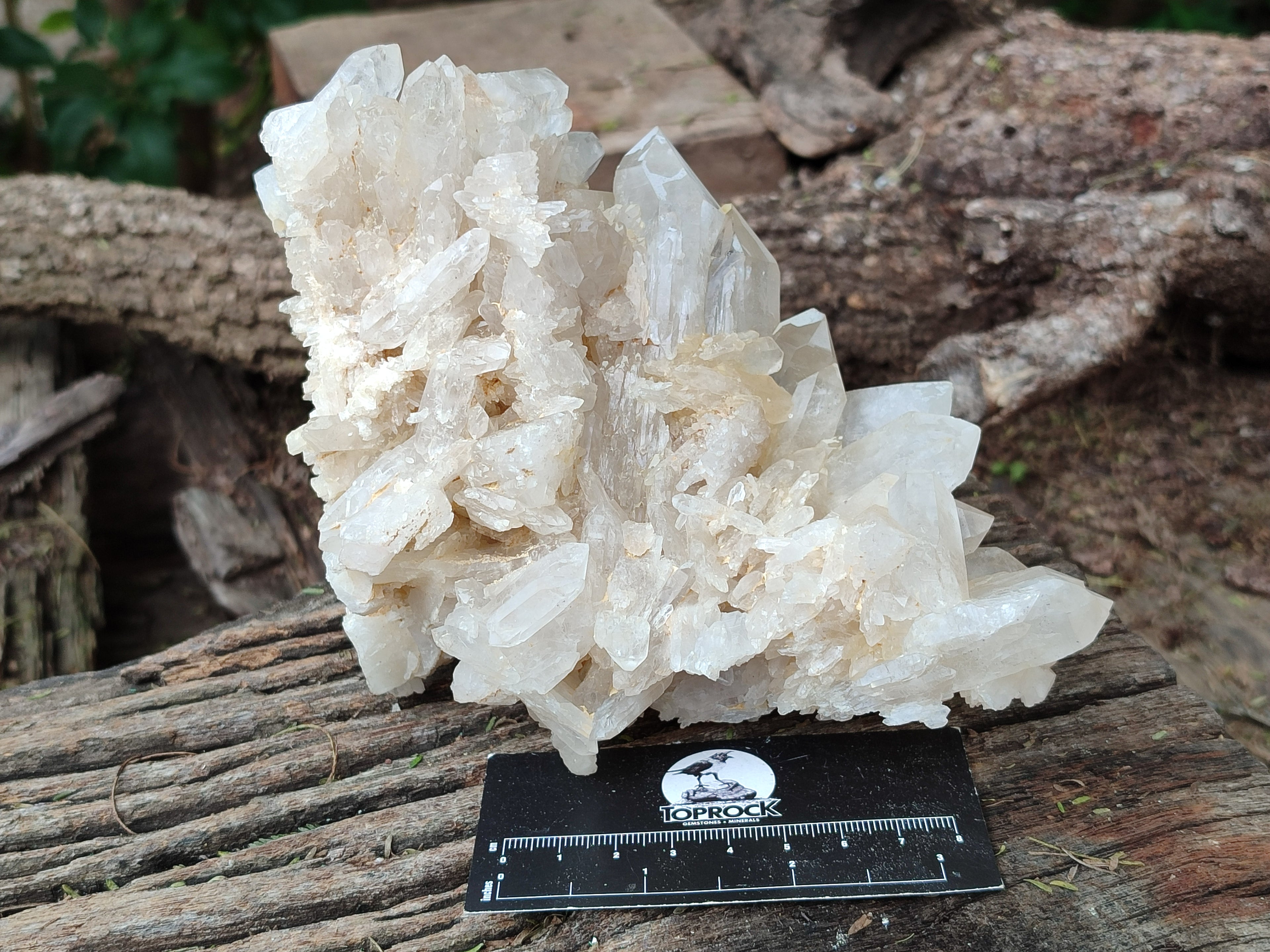 Natural Multi Terminated Quartz Crystal Clusters x 2 From Madagascar - Toprock Gemstones and Minerals 