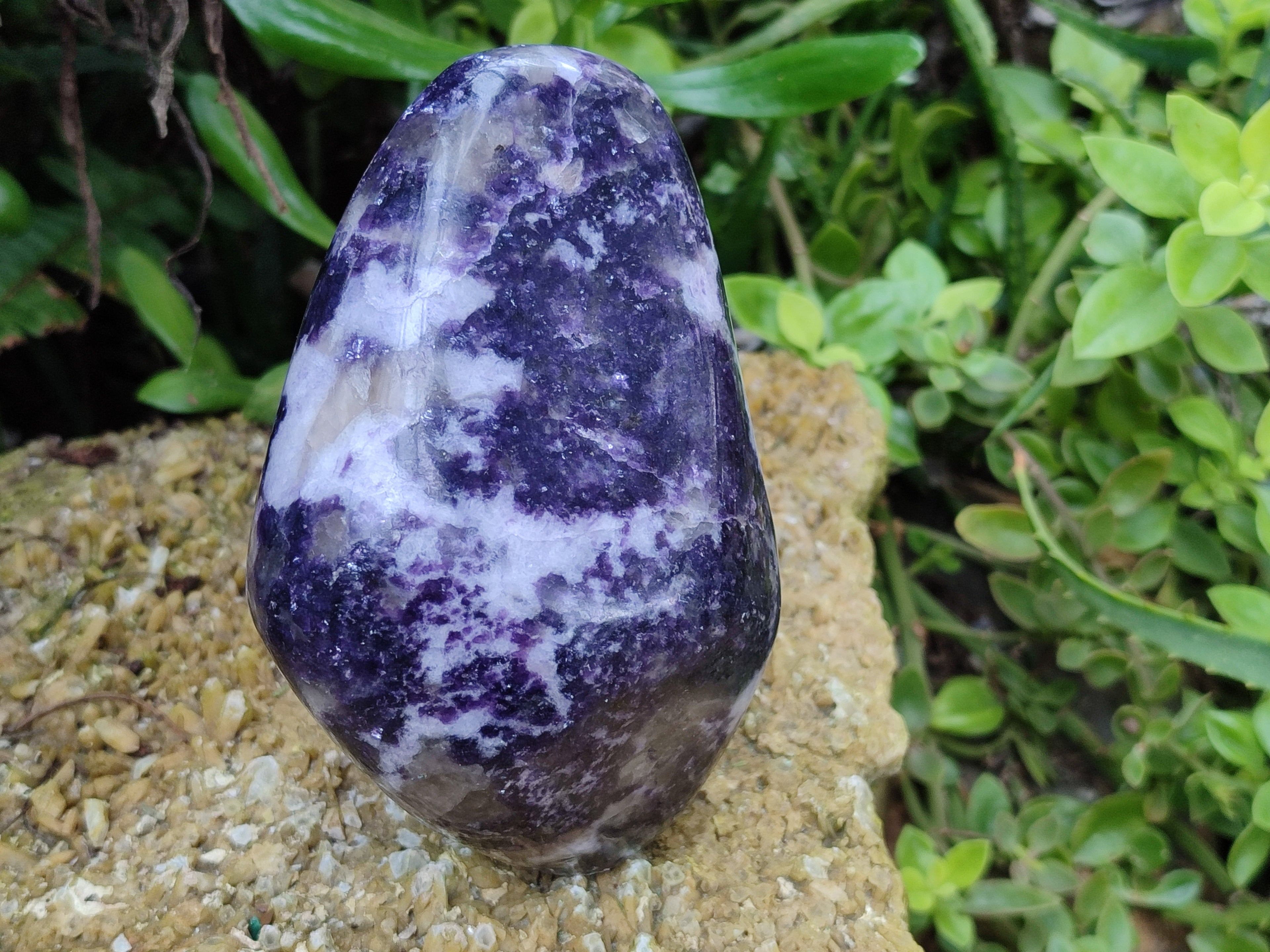 Polished Silver Leaf Lepidolite Standing Free Forms x 2 From Zimbabwe - Toprock Gemstones and Minerals 