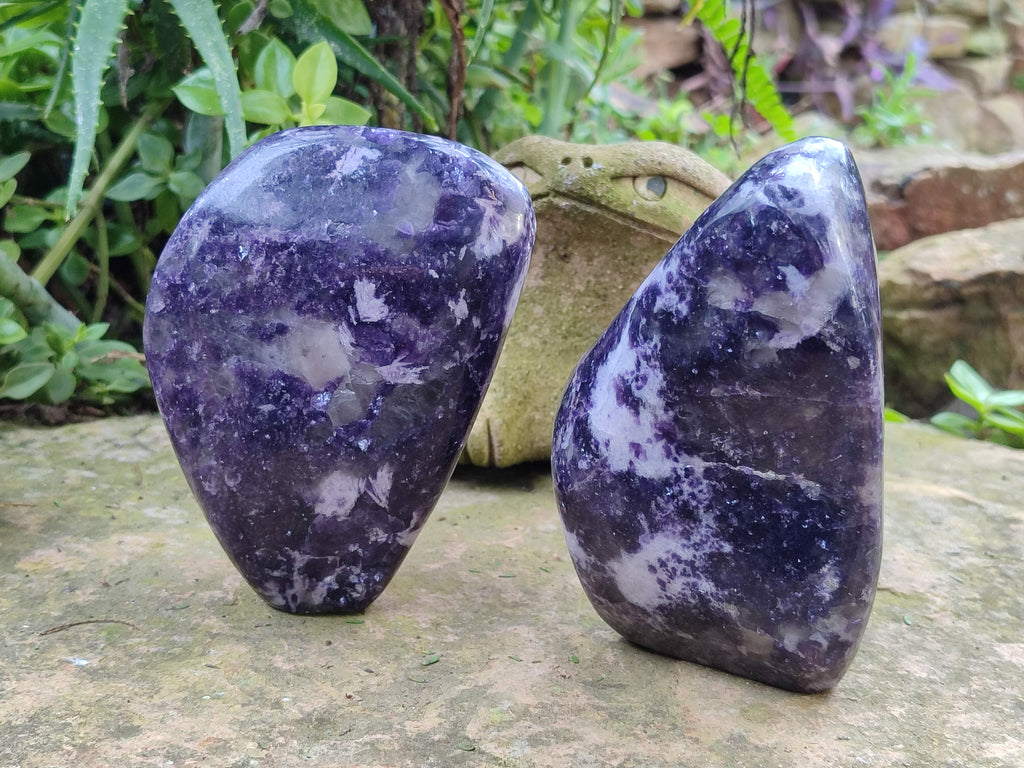 Polished Silver Leaf Lepidolite Standing Free Forms x 2 From Zimbabwe - Toprock Gemstones and Minerals 